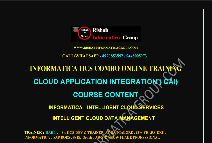 CAI Syllabus Preview